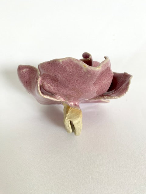 Blüte violett