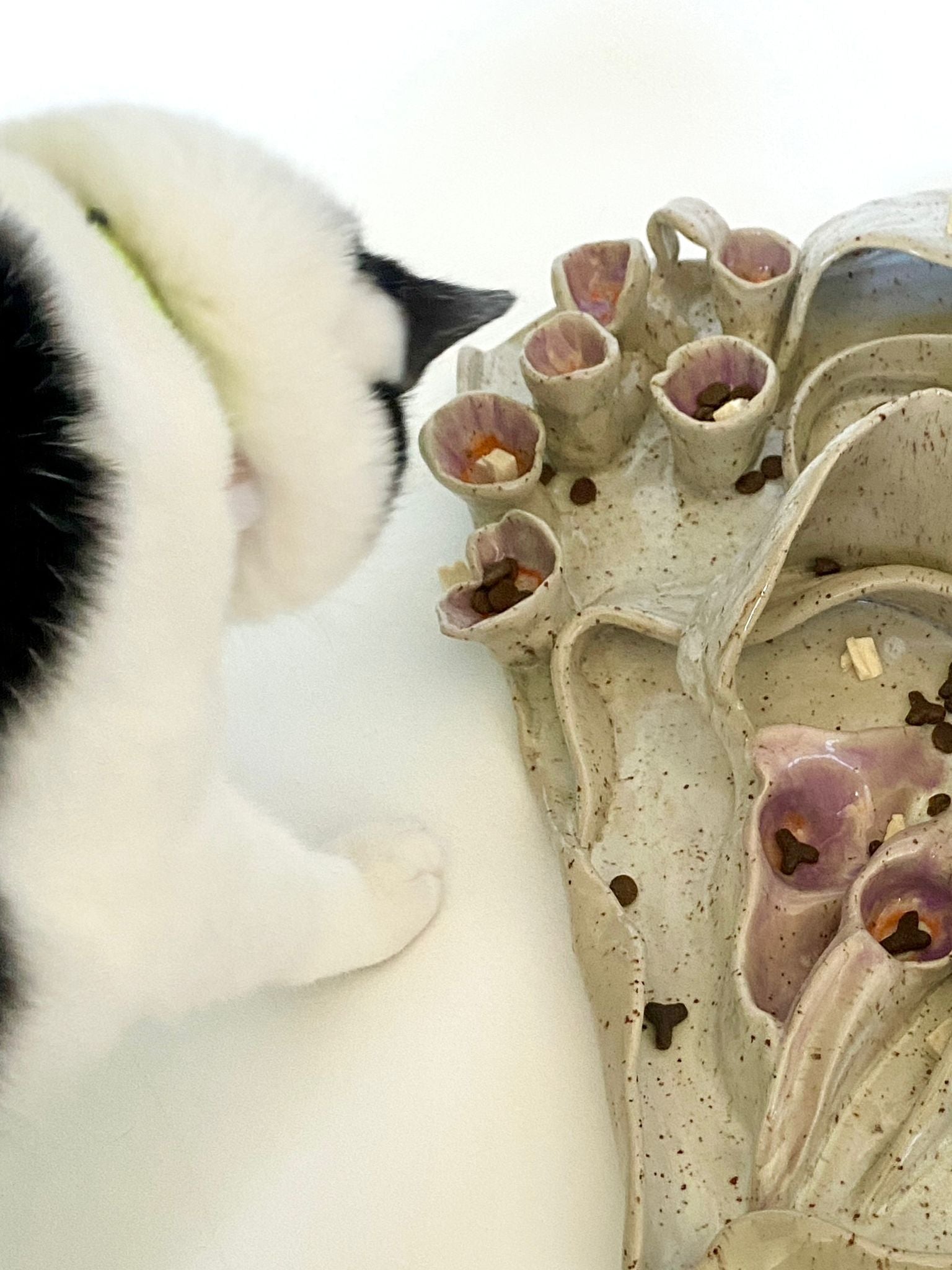 Fiddelbrett / Fummelbrett / Slow Feeder 2-teilig