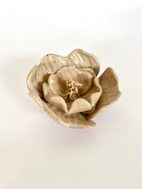 Blüte rosa