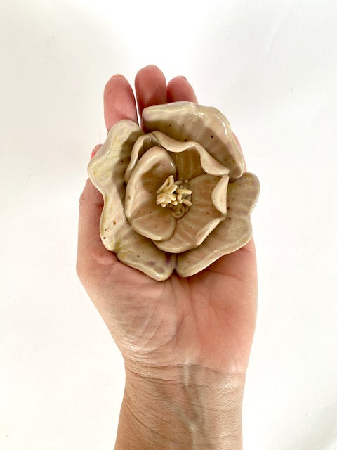 Blüte rosa