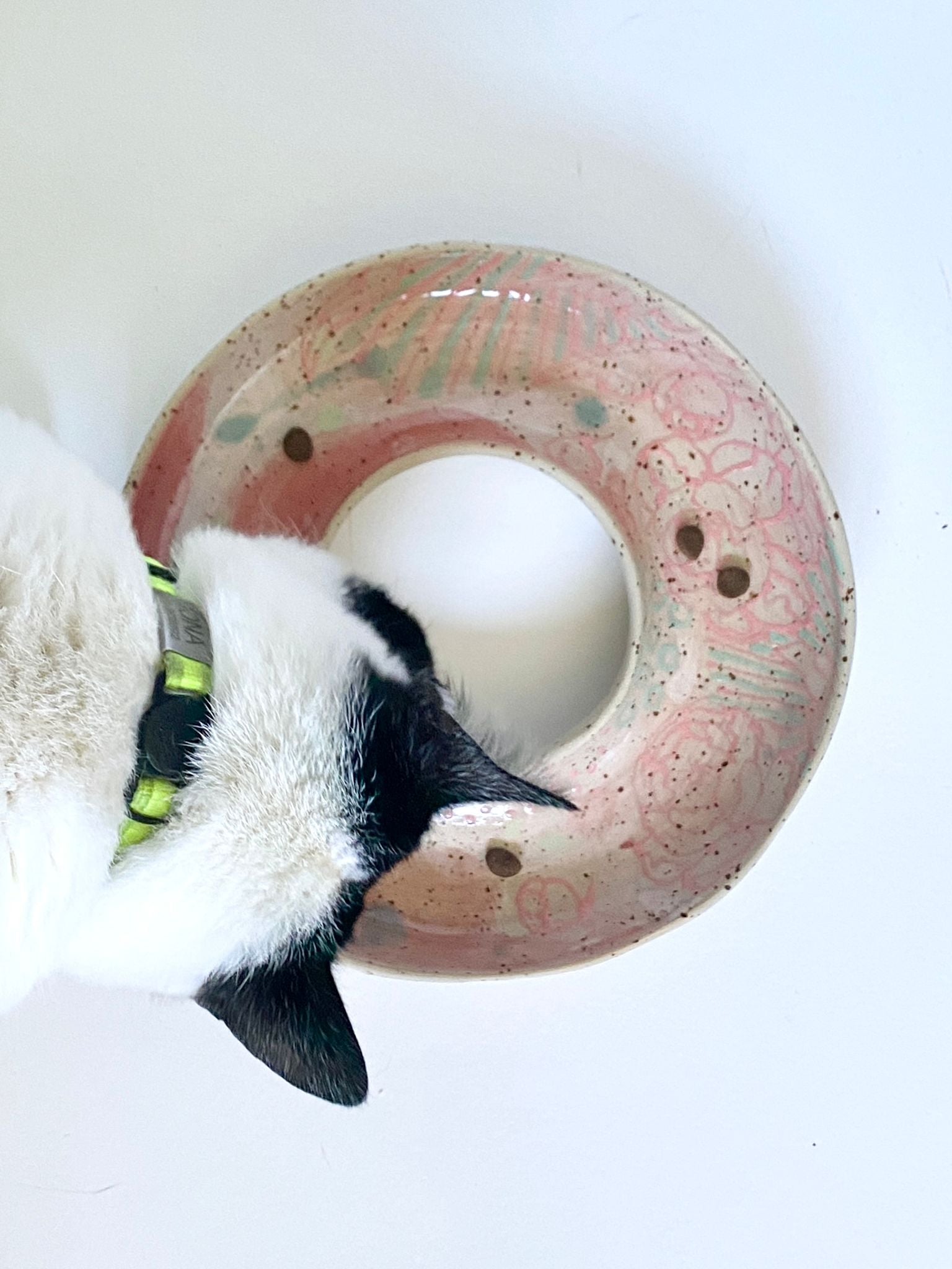 Futterring rose / mint